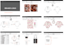 create complete fashion tech pack designs