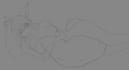 do 2d artpieces, fullbody, oc, busts, headshots with color, anime, furry