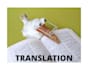 professionally translation,articles writing,blog writing