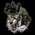 design illustration, skull, military, soldier and warrior