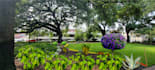 design 2d, 3d landscape architect
