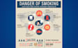design professional infographic, flowchart and diagram