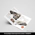 design professional brochure for your company
