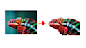 remove photos background and crop images