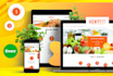 develop clean modern wordpress website design as elementor pro expert