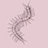 create modern insect tatoo design