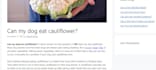 write and publish articles for blogs as guest posts