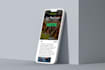 develop and design a professional landing page