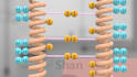 do 3d medical animation for a product or procedure