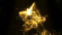 create 3 amazing phoenix fire logo animation intro