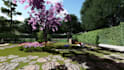 design your landscape 2d and 3d and rendering
