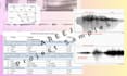 do phonetics and phonology analysis using praat, spectrograms, and ipa