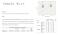 do statistical data analysis using spss and excel