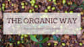 write blog post and content writing