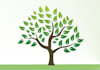 design tree logo with unlimited revision