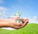 offer prosperity and abundance healing session
