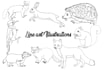 create simple flat realistic vector animal illustrations