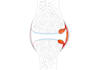design scientific, medical, educational illustration redraw