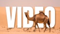 professionally edit your cinematic travel, vlog, gopro, and drone videos