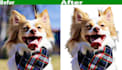do image masking by the photoshop
