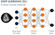 do machine learning and deep learning project
