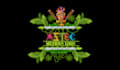 do design logo in mexican style