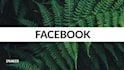 edit your social media videos