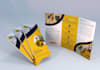 design creative flyer, professional tri fold and bi fold brochure