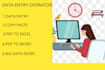do fastest data entry in one day, internet research