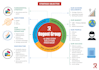 create infographics for papers, articles, and books