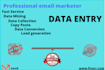 do perfect data entry job,copy pest and web recherche