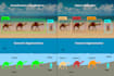 collect and label object detection dataset