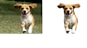 professionally remove background from photos