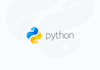 provide python basic support