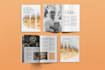 design brochure, booklet, brochure, annual report, handbook