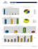 provide a detailed demographic radius report