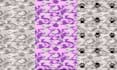create camouflage seamless pattern and gift box  mockups design
