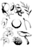 create professional tattoo design in neotraditional style