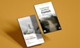 make professional posters flyers and banners for you