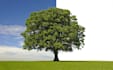 do background removal photoshop editing fast delivery