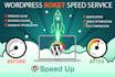 do speed optimization with gtmetrix pagespeed in 12hr