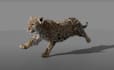 be your 3d character animator