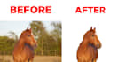 remove the background or greenscreen from your photos