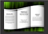 design, edit, fix a professional bifold trifold brochure