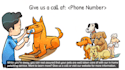 create a pet sitting animation video