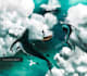 make a narrative illustration for your stories