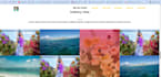 professional web designer and developer