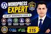 fix wordpress issues, bugs, and errors fast