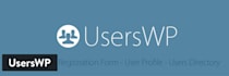 develop professional business website