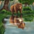 do children book illustrations, realistic, fantasy, fiction, comic